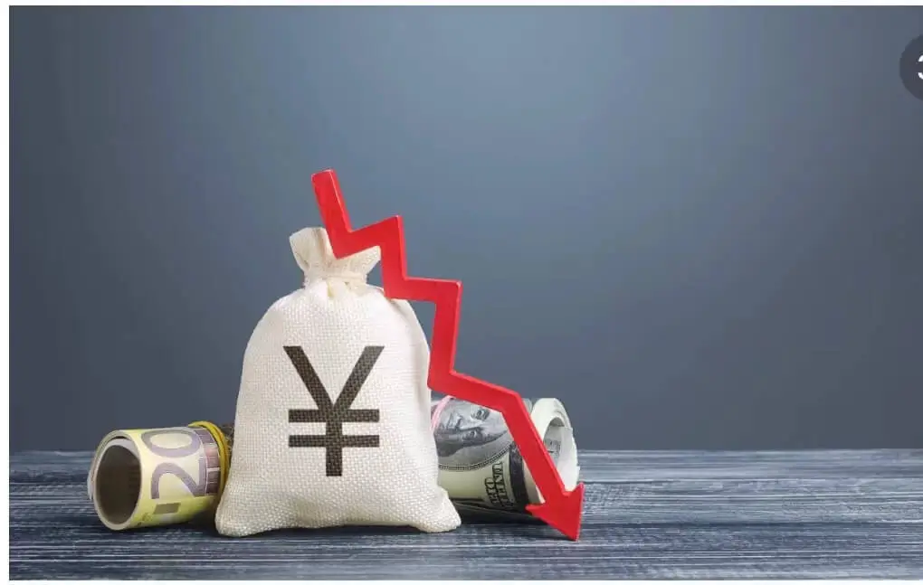 九红公司成员介绍表