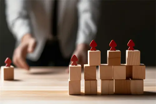 美业咨询公司案例介绍